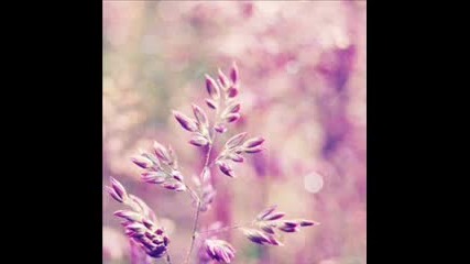 Triangle Sun - Treasure Of Our Lives 