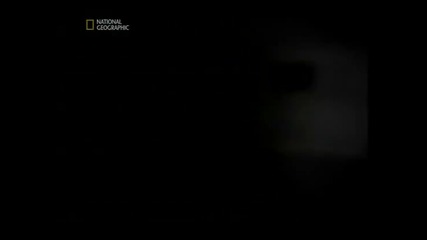 Пренаселване на Земята 2 част