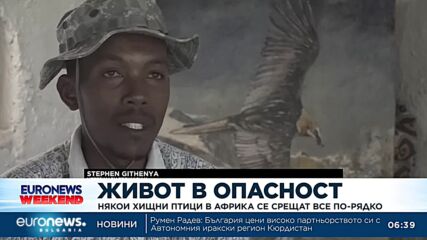 Някои хищни птици в Африка се срещат все по-рядко