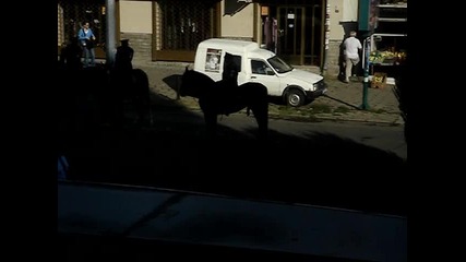 Kon erektira