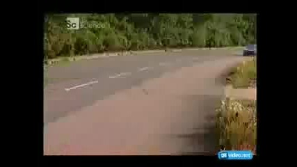 Subaru Impreza Wrx Sti Stock vs. Wrc