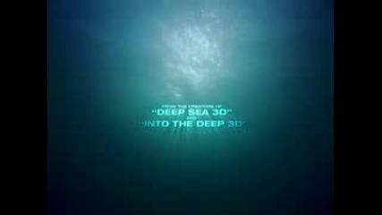 Deep Sea : Красивото Морско Дъно