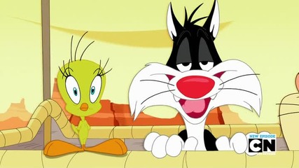 The looney tunes show season 2 Ridiculous Journey