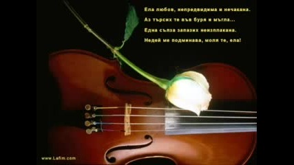 Angel4e Jelaqte