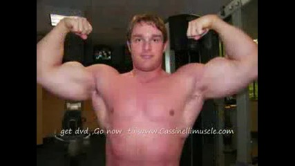 Cassinellimuscle