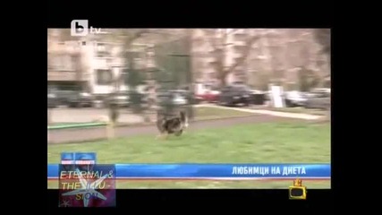 ! Виртуозна рецепта, Господари на ефира, 16 април 2010