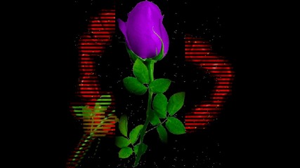 Рози за теб...andre Rieu...