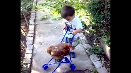 гого и кокошката