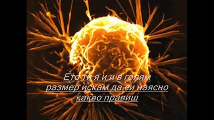 8а Хр.смирненски гр.ямбол