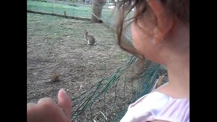 Sam_2421