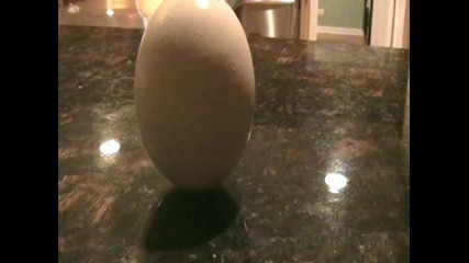 Балансиране На Яйце