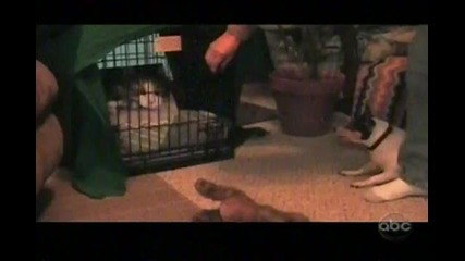 Много смях ! Американско домашно видео част 3