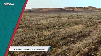 В "Социална мрежа" на 9 ноември от 15:20 ч. ще видите