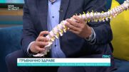 Какви са възможните диагнози при болки в гърба, врата и кръста