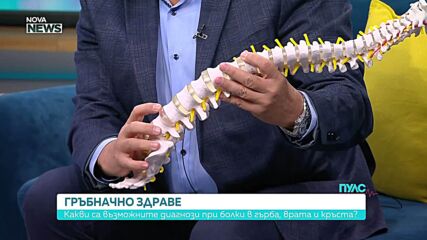 Какви са възможните диагнози при болки в гърба, врата и кръста