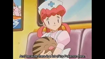 252 Pokemon