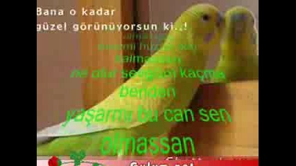 Dj Yildirim - Hangi Can (Remix)