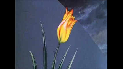 Pink Floyd (пинк флоид) - еmpty сpaces (празни пространства)