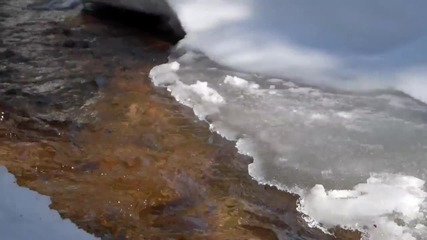 Красотата На Нашата Природа