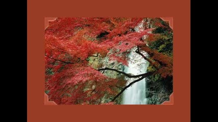 Reason - Autumn In My Heart