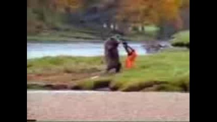 Funny Bear Vs Man