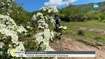 „Дотам и обратно”: Райска пролетна приказка в Балкана