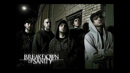 Breakdown of Sanity - Insane 