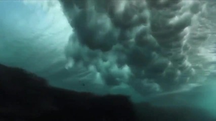 Sub Focus - Last Jungle The wonders of nature Hq