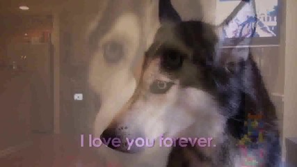 Mishka Valentine's Day Card!