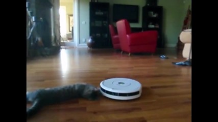 Котките обичат прахосмукачките роботи - Смях