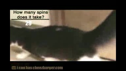 How Many Spins Does It Take