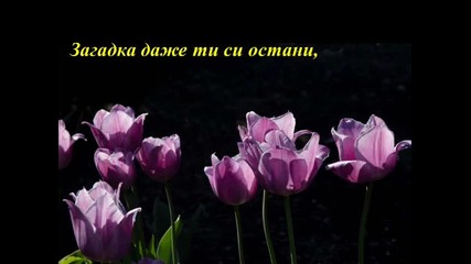 Честит 8-ми Март