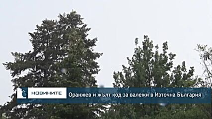 Оранжев и жълт код за валежи в Източна България