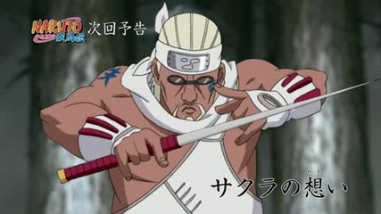 Naruto Shippuuden - 206 Preview [bg sub]