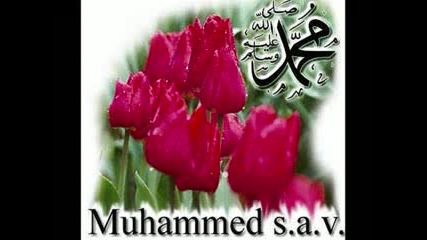 Hakan Altun - Asik Oldum Muhammede [iftihar Abidemiz 2oo8].flv