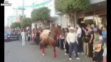 Кон Танцува Gangnam Style