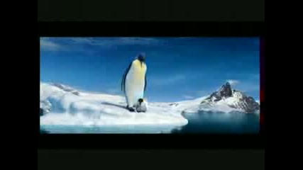 Smqh Pingvin