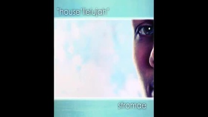 Stromae - Houselellujah [new Hit! 2010]