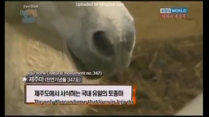 [ Eng sub ] 1 Night 2 Days S2 - Episode 54
