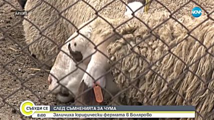 СЛЕД СЪМНЕНИЯТА ЗА ЧУМА: Заличиха юридически ферма в Болярово