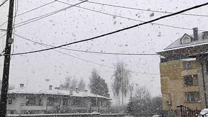 Силен снеговалеж над София - Strong snowfall over Sofia