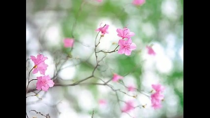 piano ~ Season-kimi ni Todoke