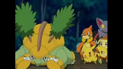 Turtwig Evos Headstrong