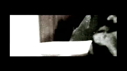 Scream Trilogy- Short Music Video- Animal I Have Become ( Хубаво Качество)