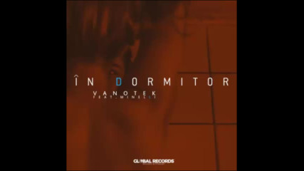 *2016* Vanotek ft. Minelli - In Dormitor