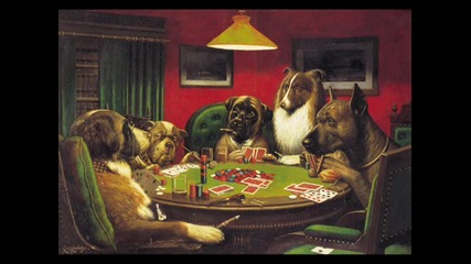 dogs високо качество