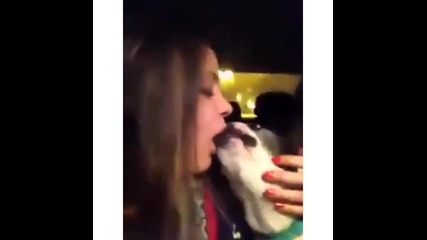 Якa мацкa се целува С Куче
