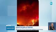 Новините на NOVA (30.07.2025 - лятна късна емисия)