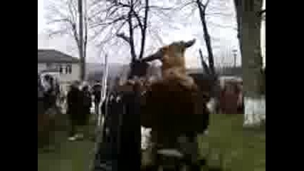 kukerski igri v qsna polqna