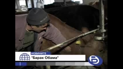 Фермер Кръсти Теле На Обама